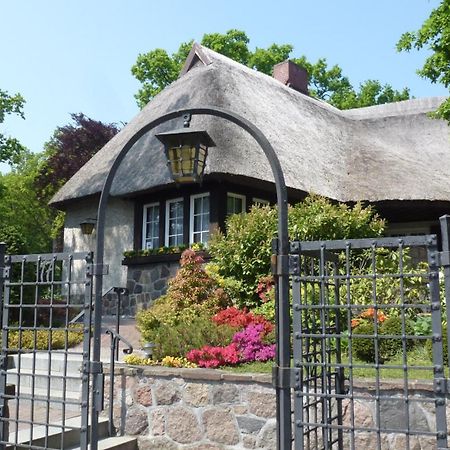Landhaus Wilkens 巴贝 外观 照片